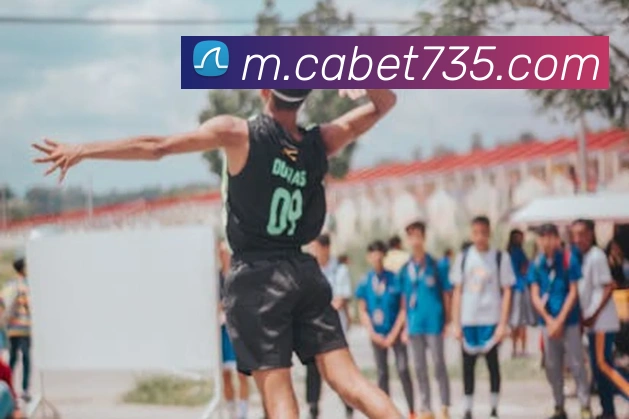奖项证书